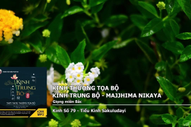 Hướng Dẫn Đăng Ký Tài Khoản Tại 79.kinh